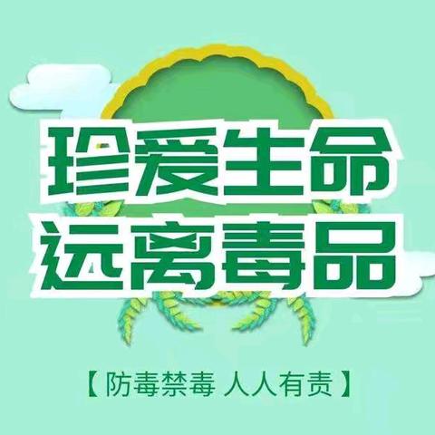 识毒防毒拒毒，同心同禁同行。——东成小学2204中队禁毒教育活动