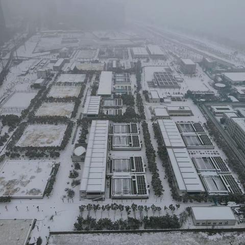 战冰斗雪  力保供水——白沙洲水厂全力以赴保障低温雨雪冰冻天气供水安全