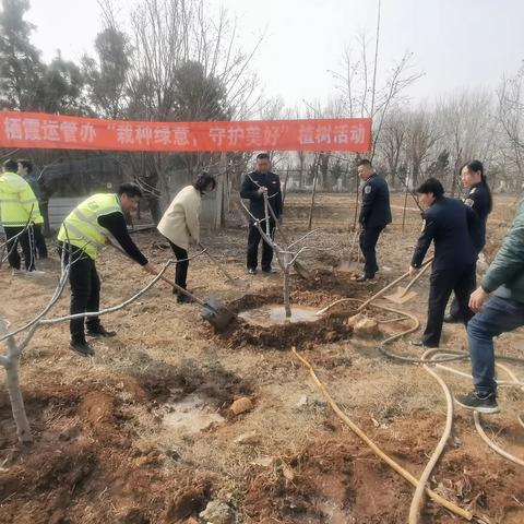 春回大地暖  植绿正当时