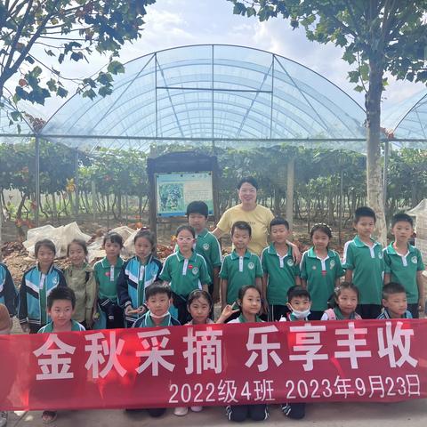 “金秋采摘，乐享丰收”龙口市实验小学2023级4班主题实践活动