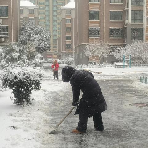 【垃圾分类，服务为先】冬日扫雪在行动，冒雪除冰暖人心