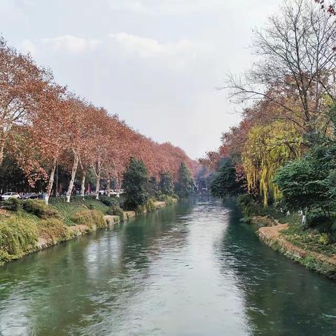 流感季节，如何预防中招？