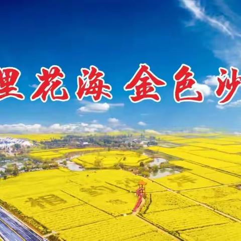 沙洋县庆祝第十五个“全民健身日”展演活动举行