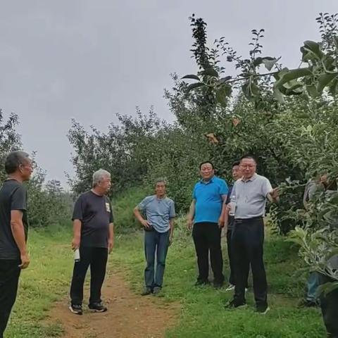 送“技”到家｜省农科院昌黎果树研究所到大石岭乡进行果树技术指导