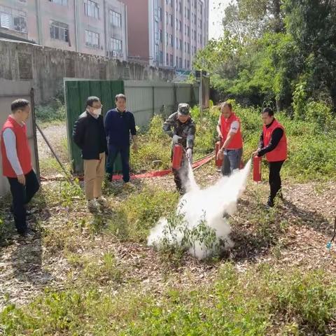 农技中心3月6日工作简报