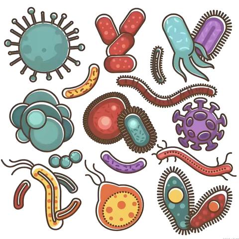 医防融合：认识上呼吸道感染，筑牢健康防线！