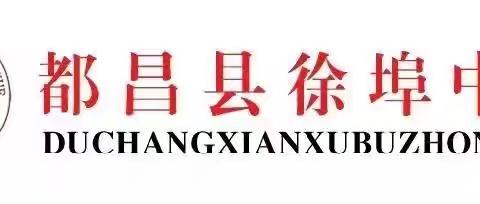 永远跟党走 奋进新征程——徐埠中学党支部开展庆祝建党103周年系列活动