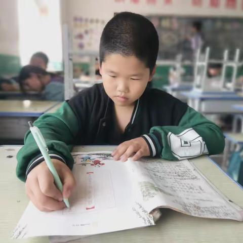 逐梦少年  未来可期--冯家口小学优秀学生风采展示