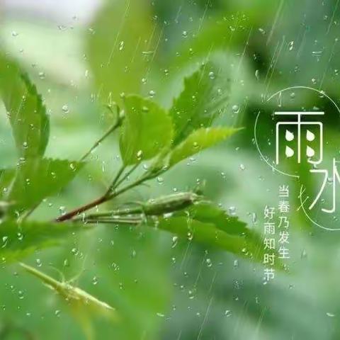 “雨水唤春来 万物使复苏”——智汇星幼儿园二十四节气“雨水”活动