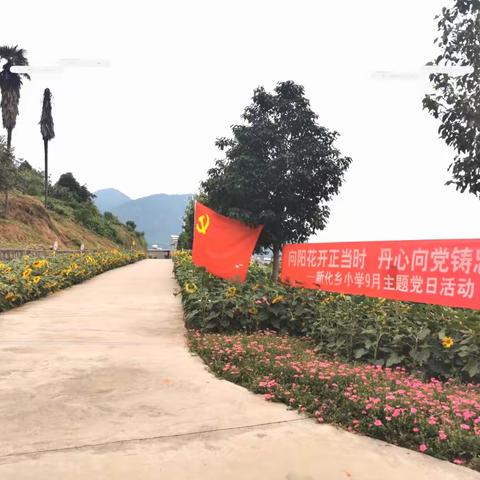 向阳花开正当时  丹心向党铸忠诚——新平县新化乡小学联合党支部召开9月党员大会开展主题党日活动、上党课