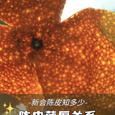 陈皮厚的～好，还是薄的～好？