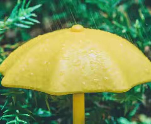 梅雨天、回南天☔️ ‍你家的陈皮放好了吗？