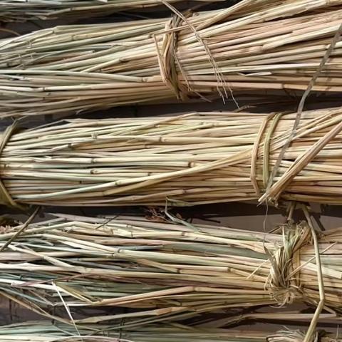 还有谁不认识新会三宝扎❓