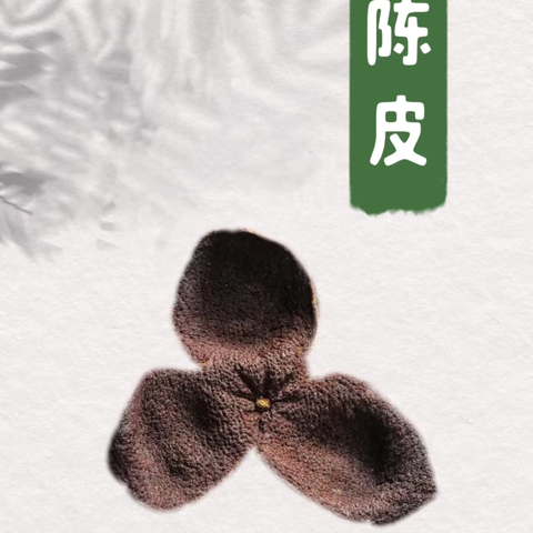 陈皮为什么能养生？