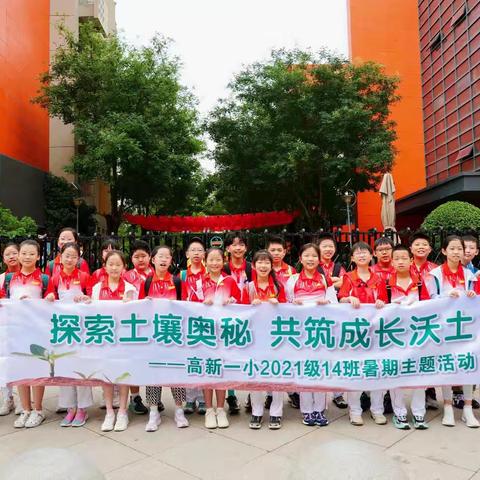 探秘土壤奥秘 共筑成长沃土 高新一小2021级14班暑期主题活动