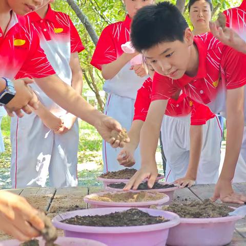 与土地对话 赴一场自然的馈赠 高新一小2021级16班暑期主题研学活动