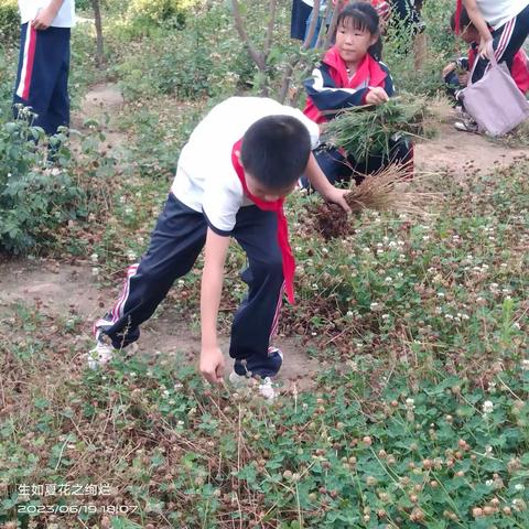 璿枢无停运  且行且努力——万善乡冉子小学六月第三周工作记录