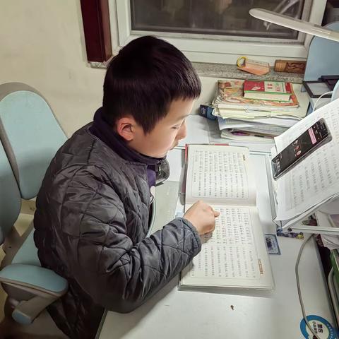 感恩日记第249篇