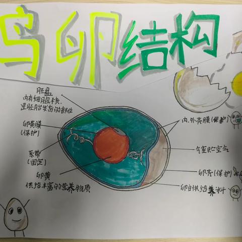 纸上芳华·智启未来||	蟠龙中学·蟠龙战役红军小学理化生活动周暨知识竞赛活动