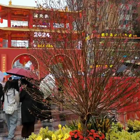 行花街 看焰火 拜大年