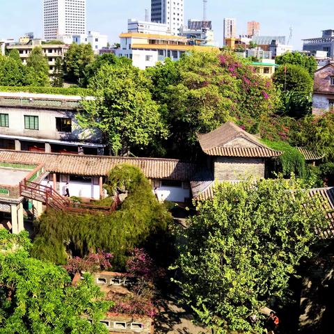 东莞 “可 园” 风光