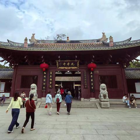 光孝寺：古刹黄花入画来