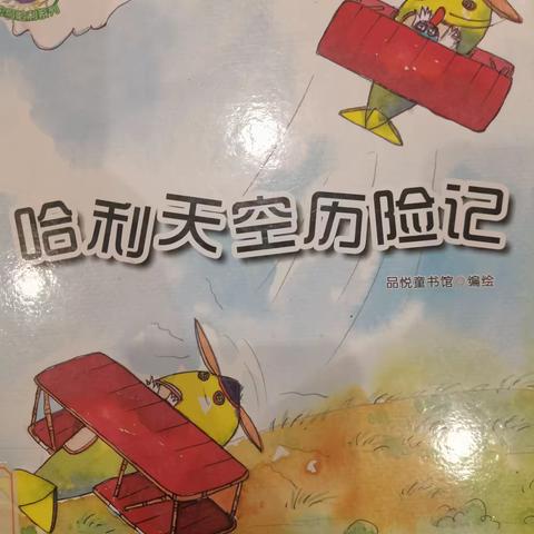 哈利天空历险记