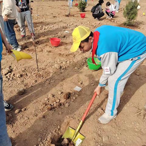 爱绿护绿在行动