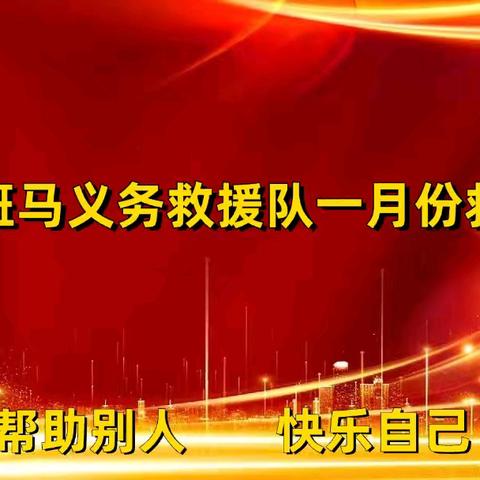 原阳县斑马义务救援队一月份救援报告总结