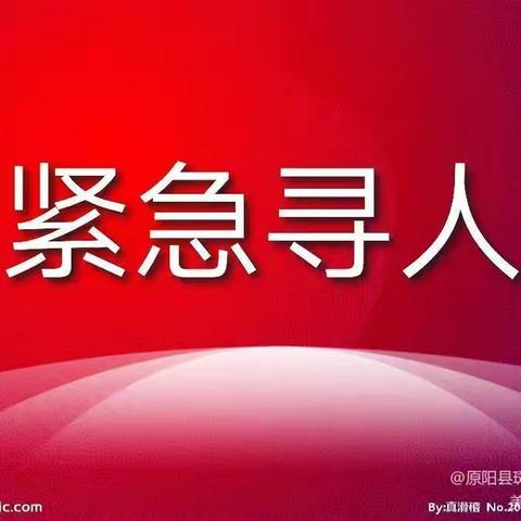 原阳县斑马义务救援队紧急寻人（40）