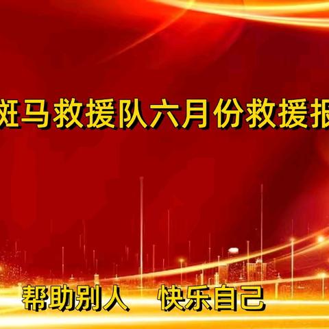 原阳县斑马义务救援队六月份救援报告总结