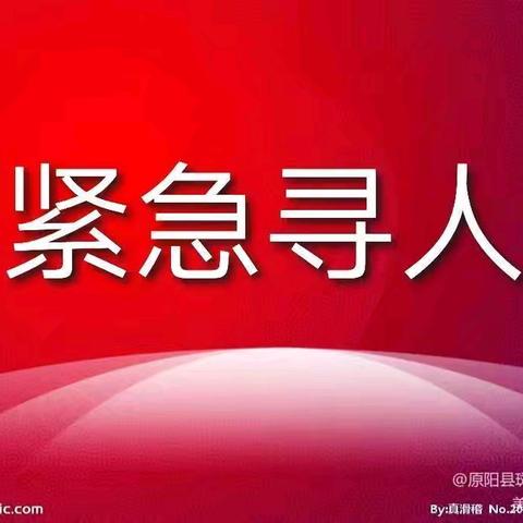 原阳县斑马救援队紧急寻人（41）