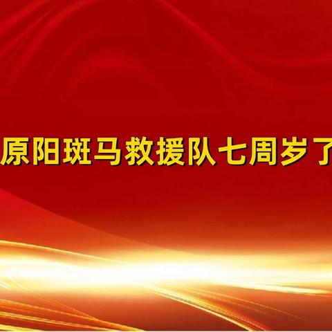 原阳县斑马救援队七周岁生日快乐