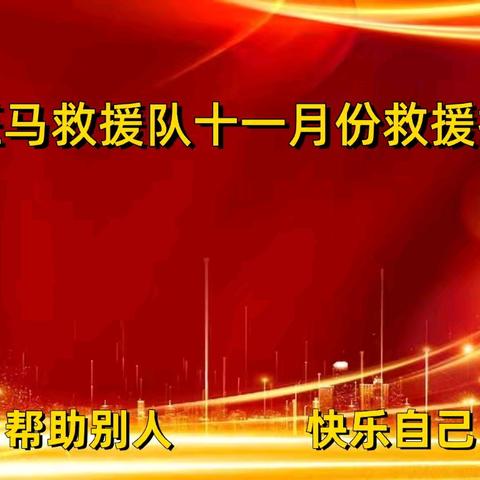 原阳县斑马救援队十一月份救援报告总结