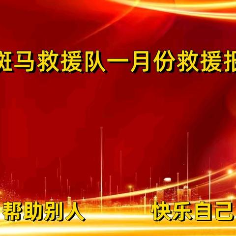 原阳县斑马救援队一月份救援报告总结