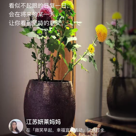 2024.10.12《读经典感恩日记》第464篇