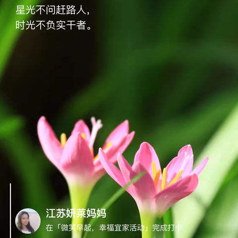 2024.12.15《读经典感恩日记》第529篇