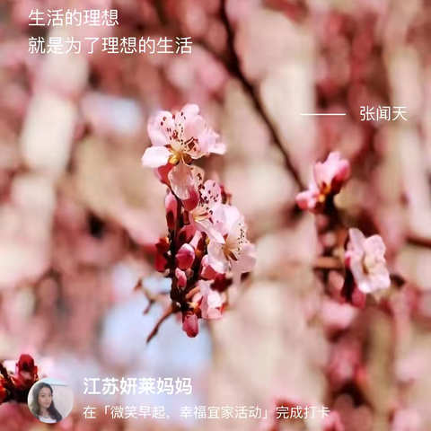 2025.2.17《读经典感恩日记》第593