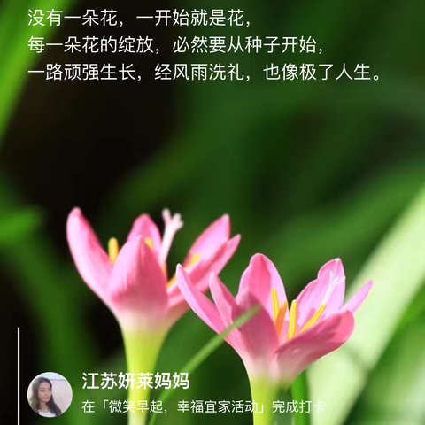 2025.3.13《读书会感恩日记》第617篇