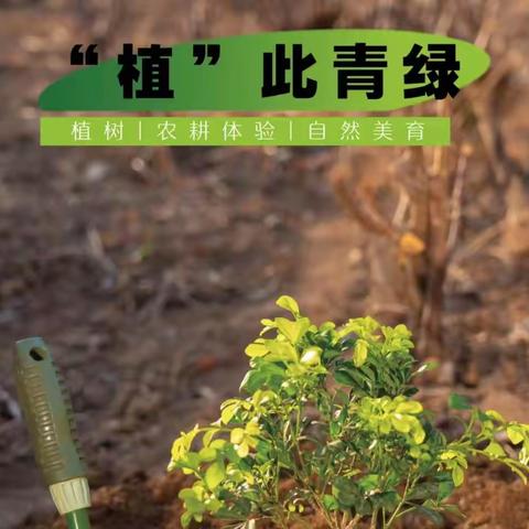 2023年春游/植树节/户外研学活动