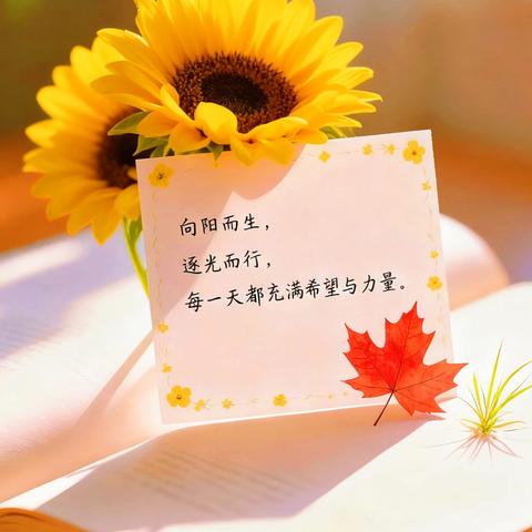 声入暑夏，语伴成长｜八年级暑假英语口语打卡表彰