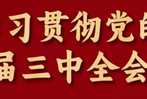 【诚信立形象 实干开新局】元宝山区：诚信建设硕果满枝