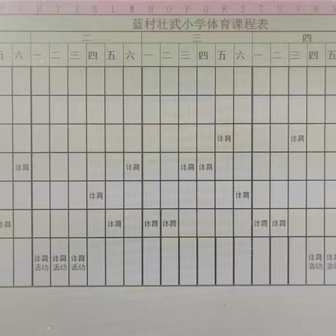 青岛市即墨区蓝村壮武小学体育课程表