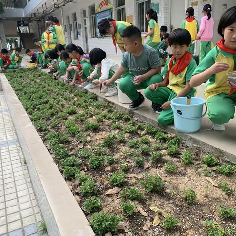 福洞小学开展植树节主题活动