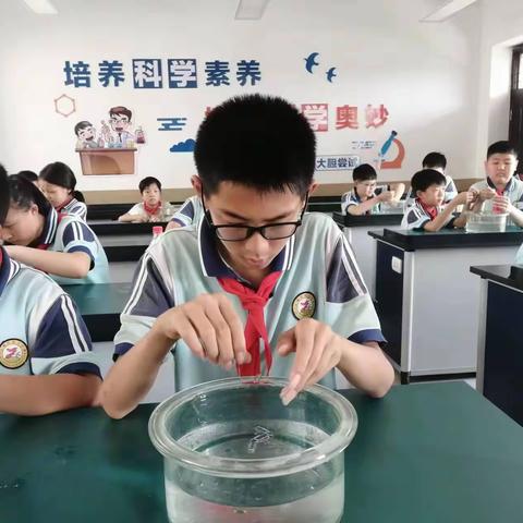 第七小学的文章遨游科技世界    成就科学梦想