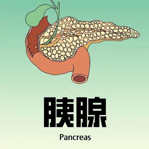 春节“保胰”战——这份防身指南让您远离急性胰腺炎