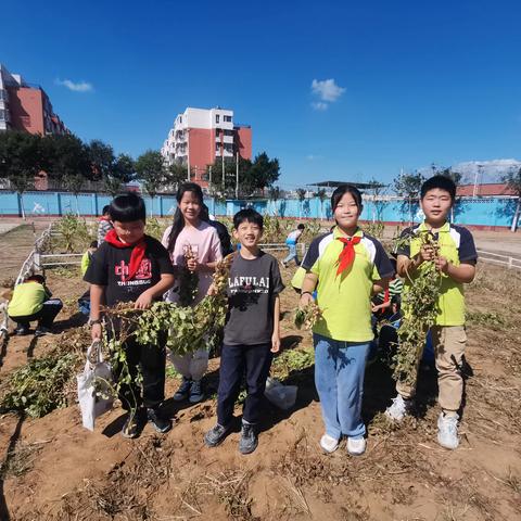 劳动基地学知识，辛勤劳动结硕果