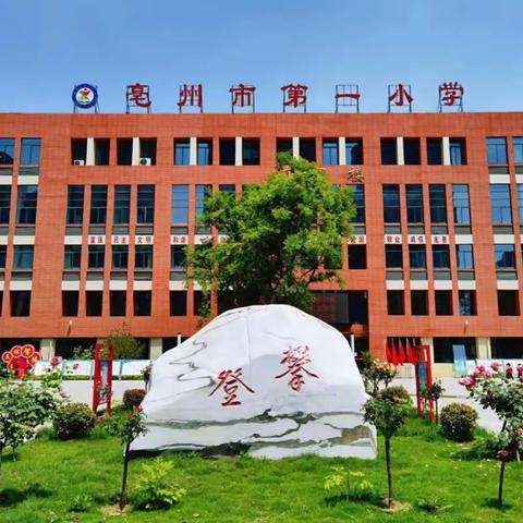 亳州市第一小学党支部第一党小组主题教育活动