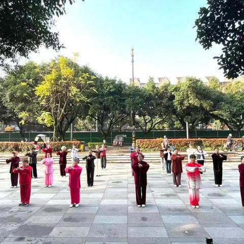 《以武为媒齐健身·我们在行动》成都市龙泉驿区武术协会举办会员公益培训活动