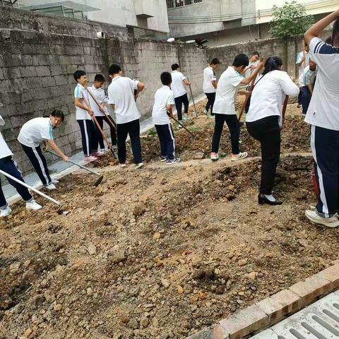 劳动励心智，实践促成长——2108班劳动实践基地学生们摆摊卖菜啦！